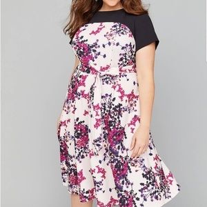 NWT Lane Bryant floral dress
